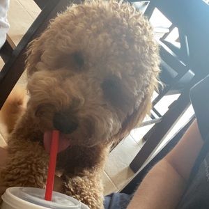 Meet your Posher, Kaitlin